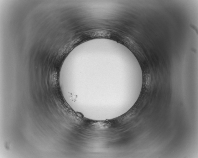 X0000101660326200807311441