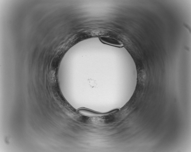 X0000101660327200807311441