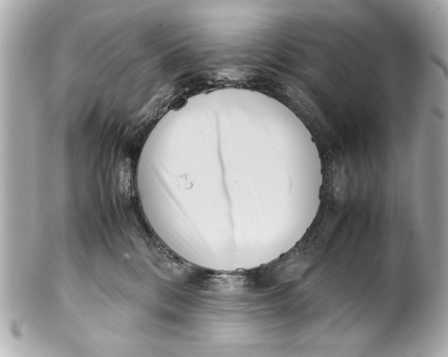 X0000101660328200807311441