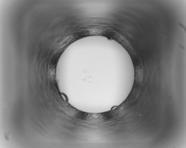 X0000101660329200807311441