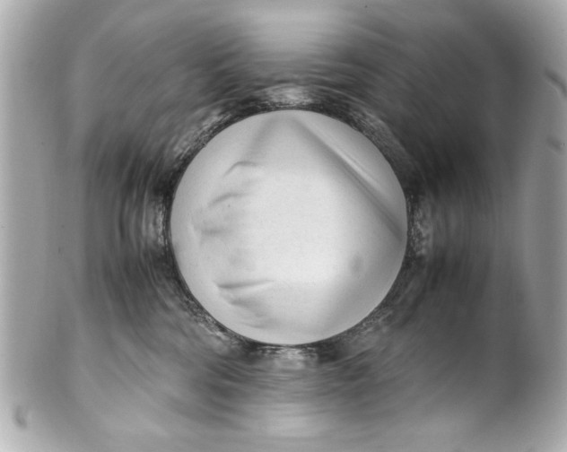 X0000101660330200807311441