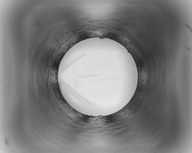 X0000101660331200807311441