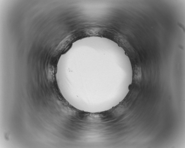 X0000101660332200807311441