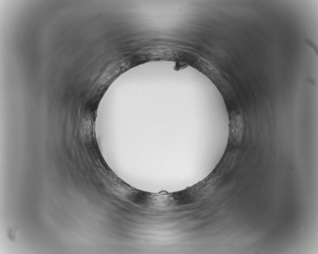 X0000101660333200807311441