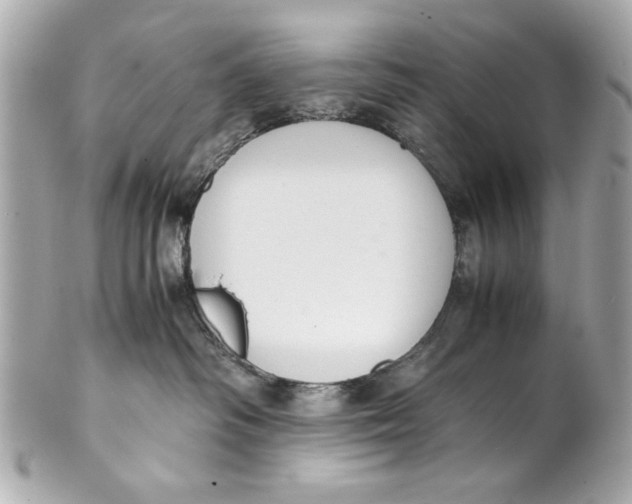 X0000101660334200807311441