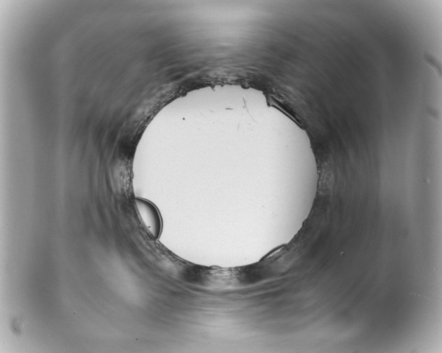 X0000101660335200807311441