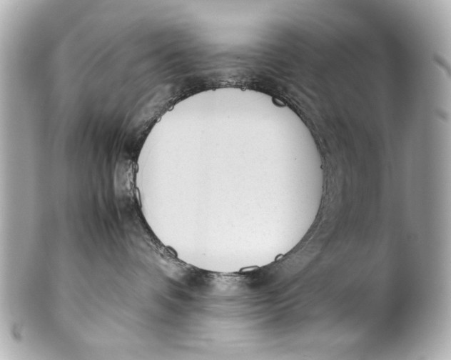 X0000101660336200807311441