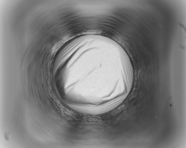 X0000101660337200807311440