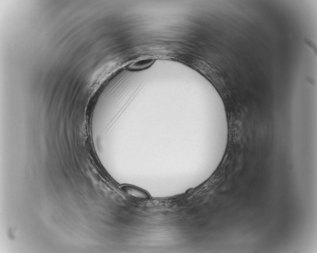 X0000101660338200807311440