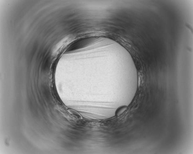 X0000101660339200807311440