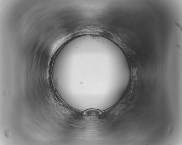 X0000101660340200807311440