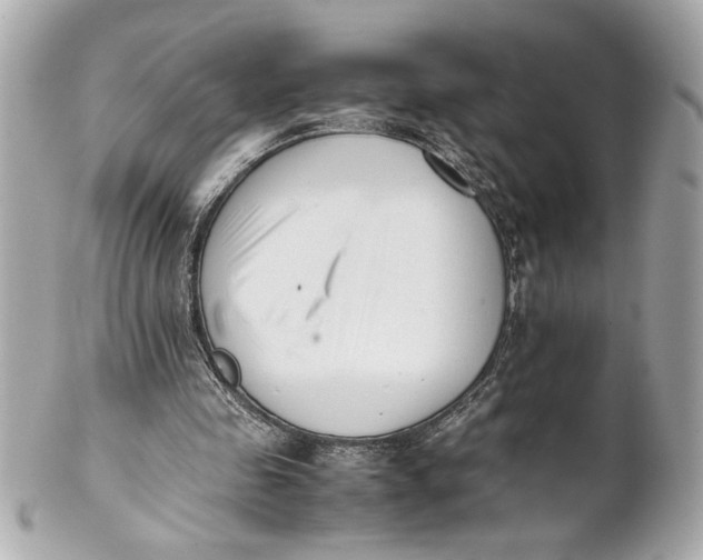 X0000101660341200807311440