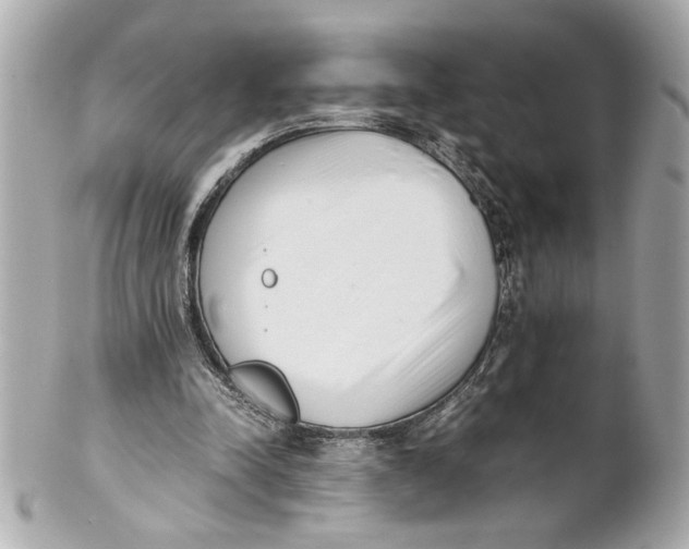 X0000101660342200807311440