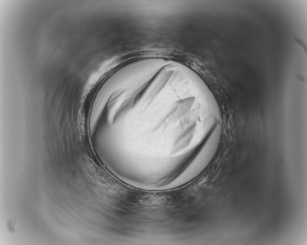 X0000101660343200807311440