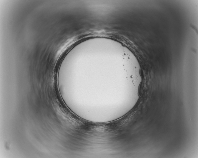 X0000101660344200807311440