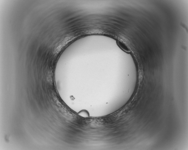 X0000101660345200807311440