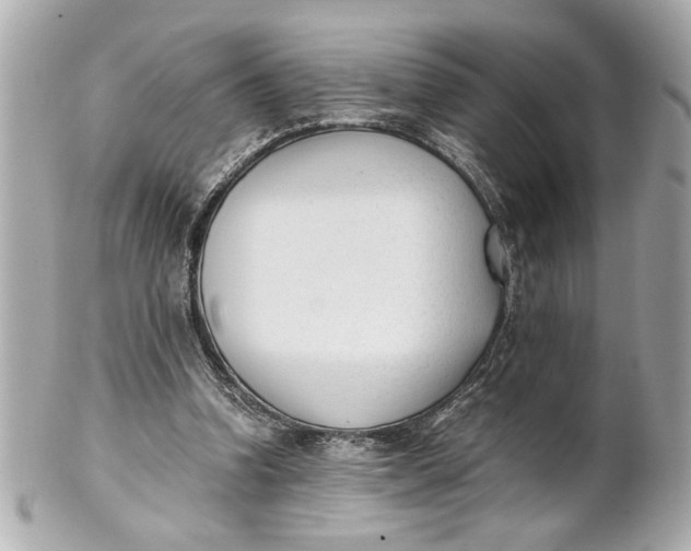 X0000101660346200807311440