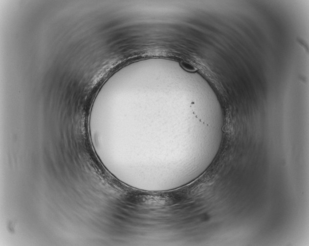 X0000101660347200807311440