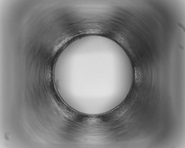 X0000101660348200807311440