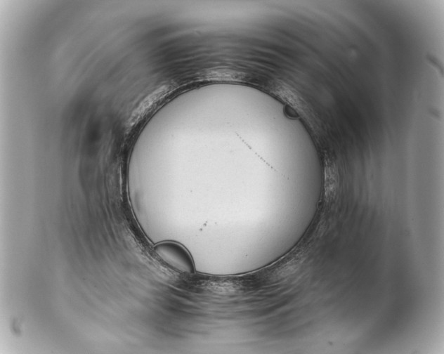 X0000101660349200807311440