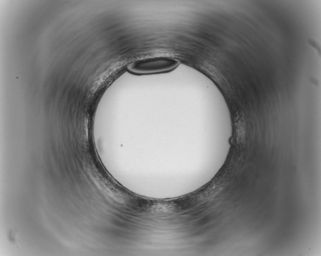 X0000101660350200807311440