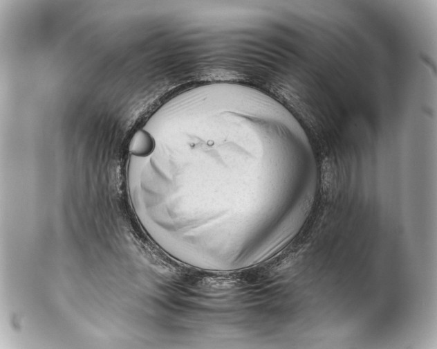 X0000101660351200807311440