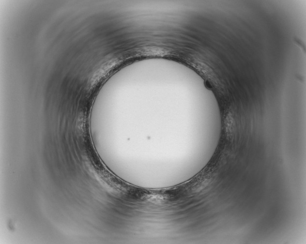 X0000101660352200807311440