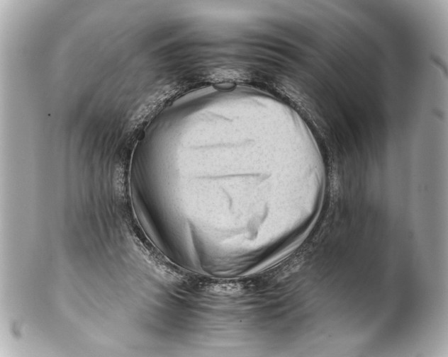 X0000101660353200807311440