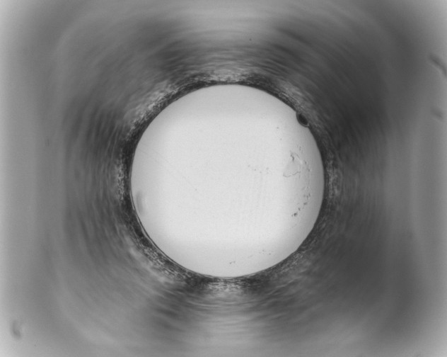 X0000101660354200807311440