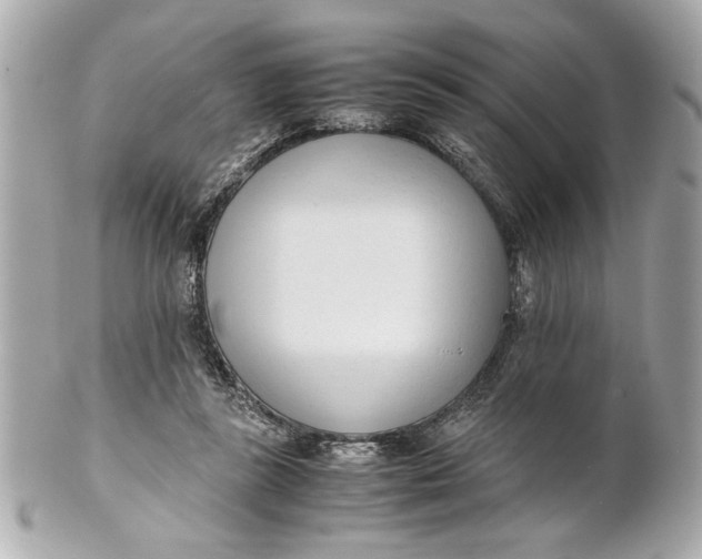 X0000101660355200807311440