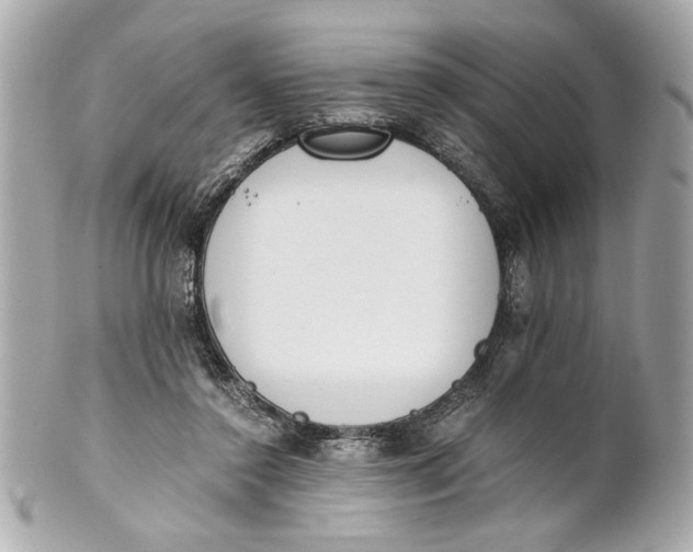 X0000101660356200807311440