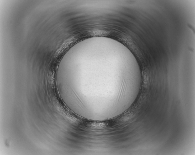 X0000101660357200807311440