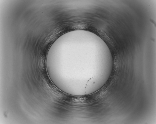 X0000101660359200807311440