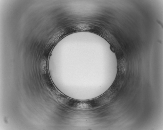 X0000101660360200807311440