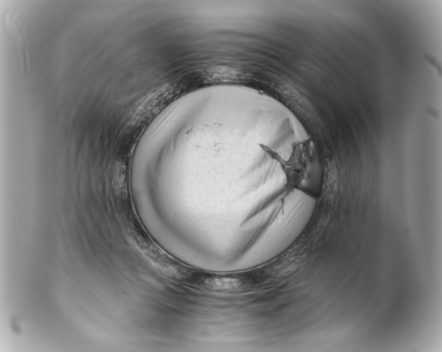 X0000101660361200807311440