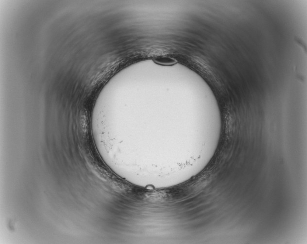 X0000101660362200807311440