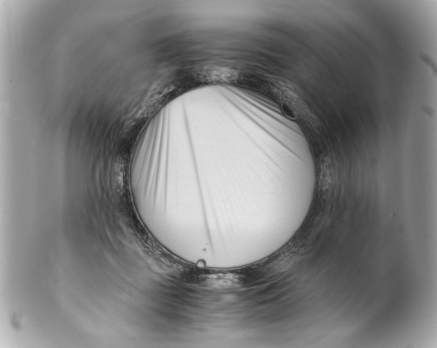 X0000101660363200807311440