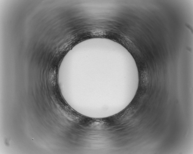 X0000101660364200807311440