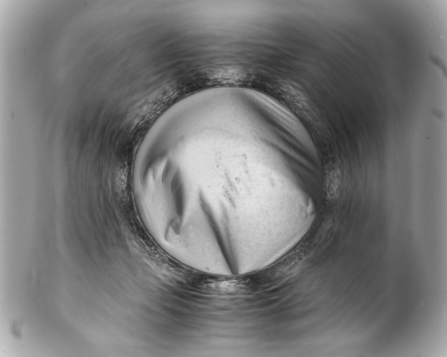 X0000101660365200807311440