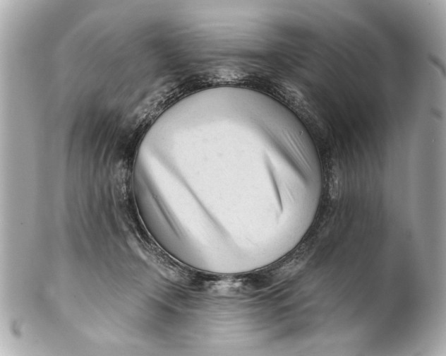 X0000101660366200807311440