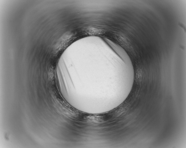 X0000101660367200807311440