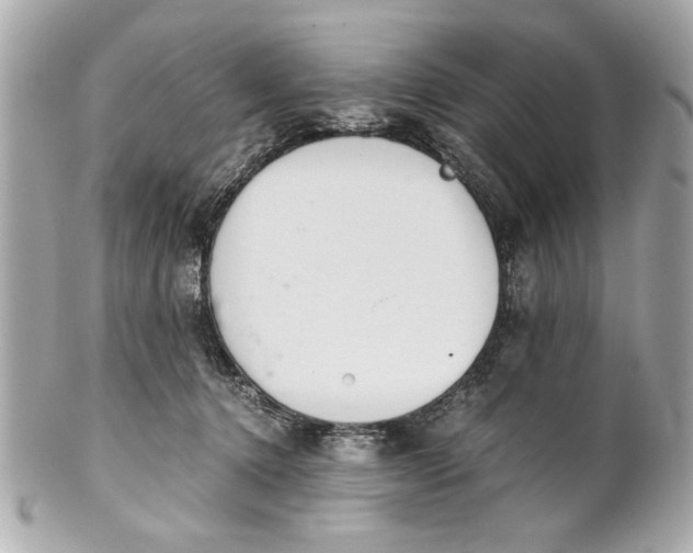 X0000101660368200807311440