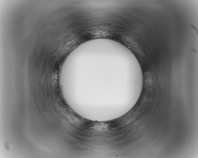 X0000101660369200807311440