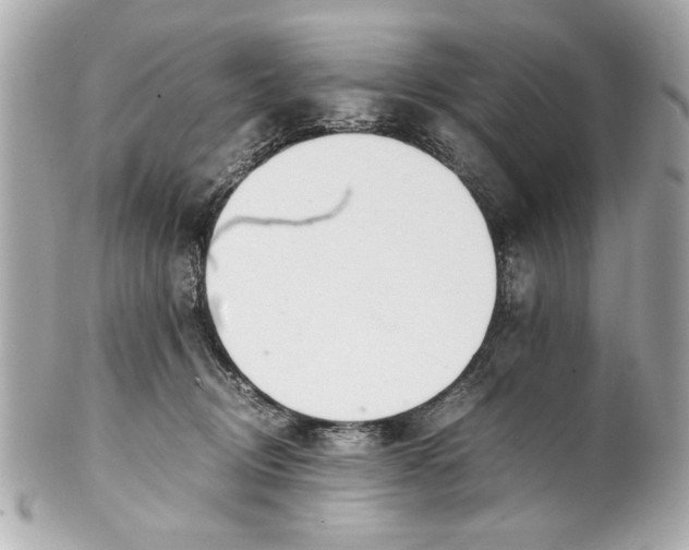 X0000101660370200807311440