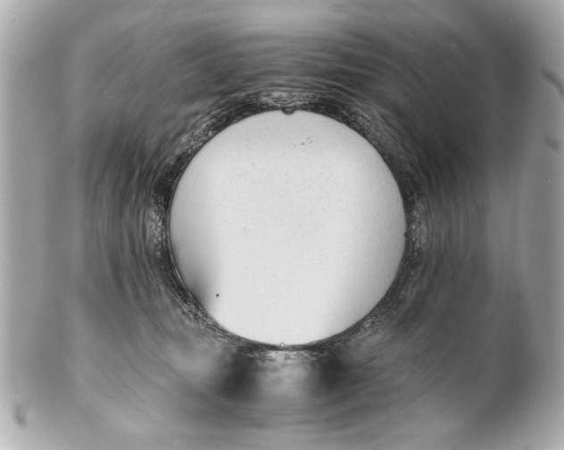 X0000101660371200807311440