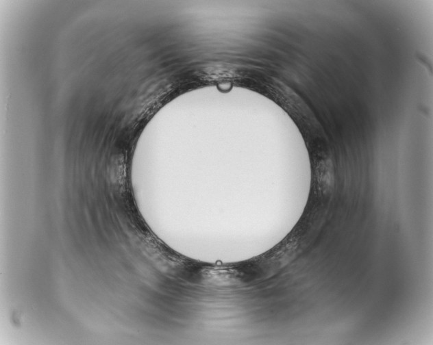 X0000101660372200807311440