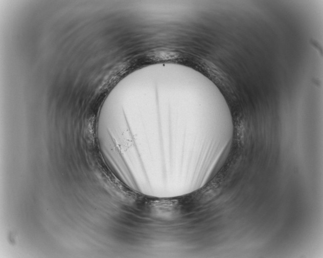 X0000101660373200807311440