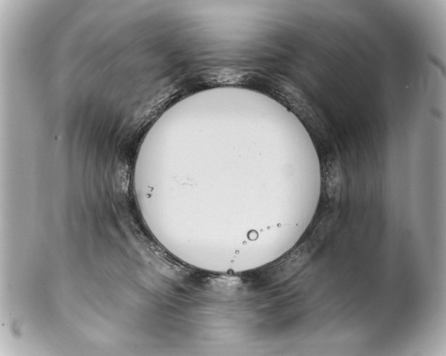 X0000101660374200807311440