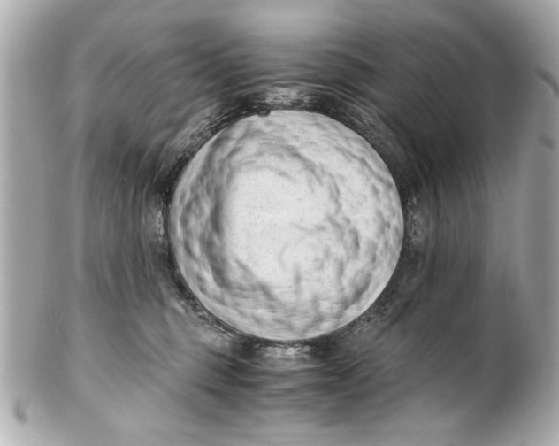 X0000101660375200807311440