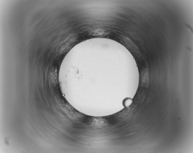 X0000101660376200807311440